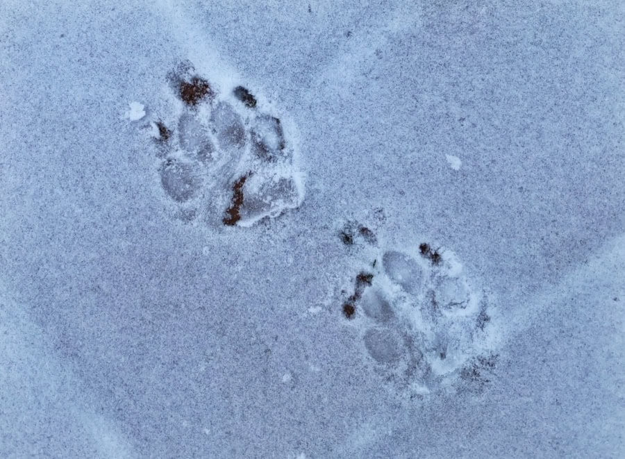 Das war meine Woche &ndash; KW 02 / 2026 | Alltagsgeschichten | Was is hier eigentlich los?