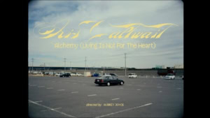 Sébastien Tellier - Thrill Of The Night | Musik | Was is hier eigentlich los?