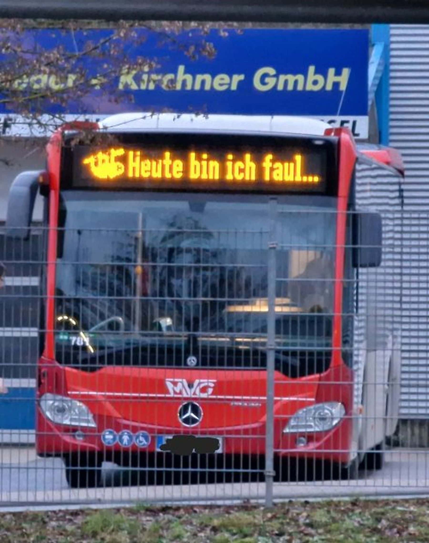 Ich auch, kleiner Bus, ich auch | Lustiges | Was is hier eigentlich los? Ich auch, kleiner Bus, ich auch | Lustiges | Was is hier eigentlich los?