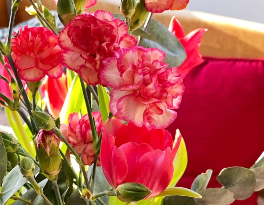 Das war meine Woche &ndash; KW 08 / 2026 | Alltagsgeschichten | Was is hier eigentlich los?