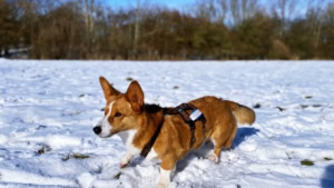 Trailer: Toy Story 5 | Kino/TV | Was is hier eigentlich los? Trailer: Toy Story 5 | Kino/TV | Was is hier eigentlich los?