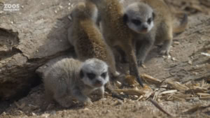 Trailer: Malcolm mittendrin &ndash; Unfair wie immer | Kino/TV | Was is hier eigentlich los?