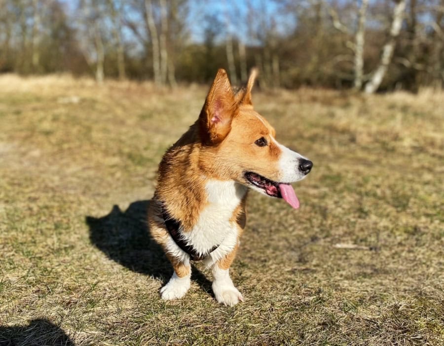 Das war meine Woche – KW 10 / 2026 | Alltagsgeschichten | Was is hier eigentlich los? Das war meine Woche – KW 10 / 2026 | Alltagsgeschichten | Was is hier eigentlich los?