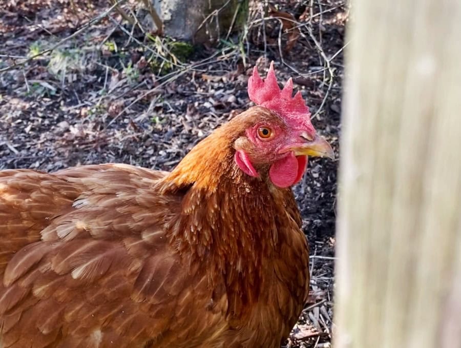 Das war meine Woche – KW 10 / 2026 | Alltagsgeschichten | Was is hier eigentlich los? Das war meine Woche – KW 10 / 2026 | Alltagsgeschichten | Was is hier eigentlich los?