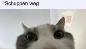 Warum man Strichcodes nicht teilen sollte | Was gelernt | Was is hier eigentlich los?