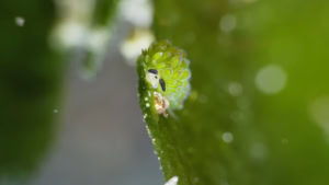 Obacht, Verwechslungsgefahr | Lustiges | Was is hier eigentlich los?