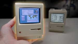 Leben auf einer abgelegenen Insel, fast ohne Vorschriften | Menschen | Was is hier eigentlich los?