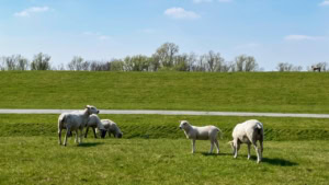 Warum Lego jetzt "alle" hassen | Was gelernt | Was is hier eigentlich los?