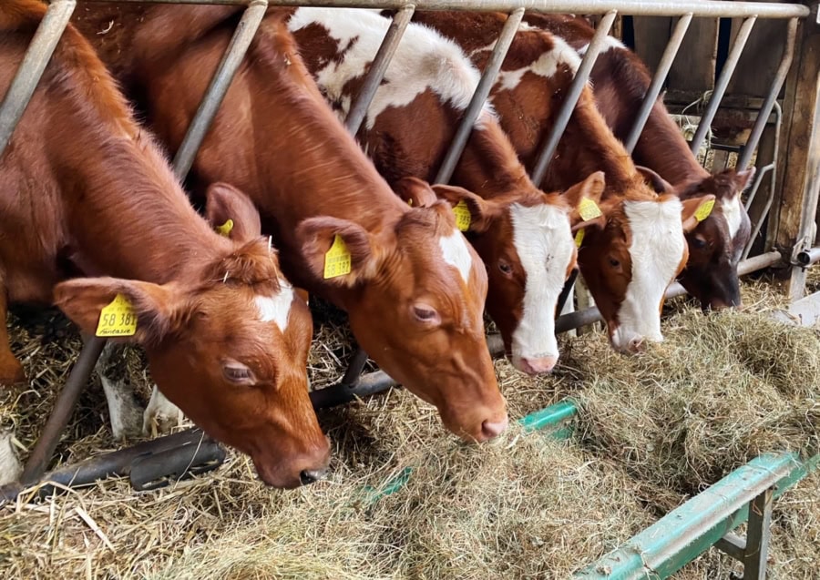 Das war meine Woche – KW 16 / 2026 | Alltagsgeschichten | Was is hier eigentlich los?