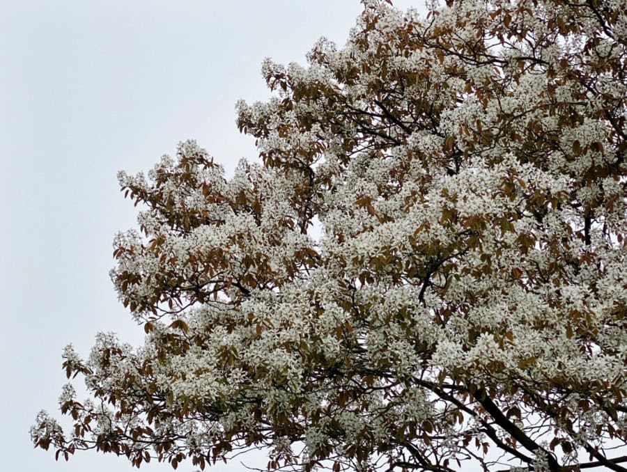 Das war meine Woche – KW 16 / 2026 | Alltagsgeschichten | Was is hier eigentlich los?