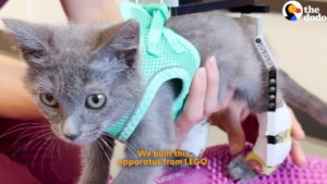 Wie der Öl-Preis bestimmt wird | Was gelernt | Was is hier eigentlich los?