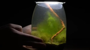 Nur ein EpiPen-Launcher | Gadgets | Was is hier eigentlich los?