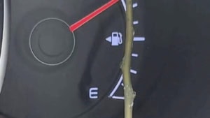 Leben auf einer abgelegenen Insel, fast ohne Vorschriften | Menschen | Was is hier eigentlich los?