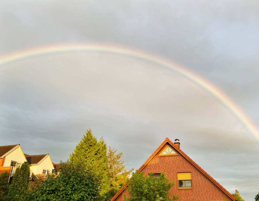 Das war meine Woche – KW 34 / 2026 | Alltagsgeschichten | Was is hier eigentlich los?