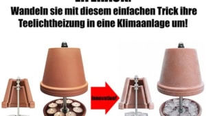 OK KID – Rave On | Musik | Was is hier eigentlich los?