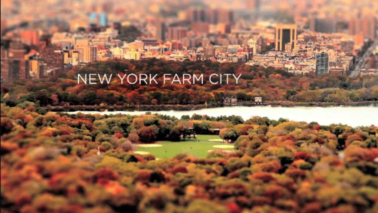 Gemüse wächst überall (mit wundervollen Tiltshift-Aufnahmen aus New York) | Was gelernt | Was is hier eigentlich los?