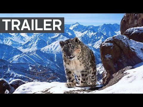 Trailer: Planet Earth 2 | Kino/TV | Was is hier eigentlich los?