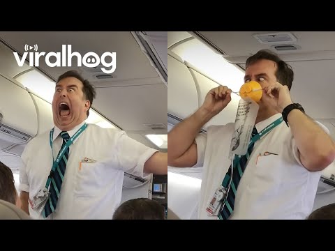 Die vielleicht beste Sicherheitsanweisung im Flugzeug, die ihr heute sehen werdet | Lustiges | Was is hier eigentlich los?