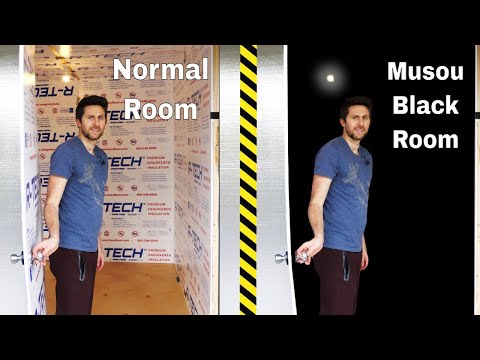 Ein Zimmer mit dem schwärzesten Schwarz gestrichen | Awesome | Was is hier eigentlich los?